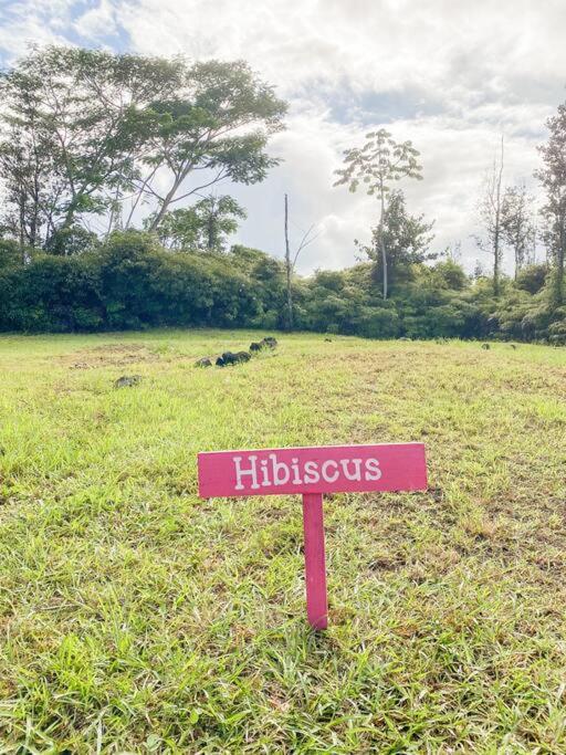 Hibiscus Hale, Full Kitchen, King Bed, Parking Apartment Keaau Exterior photo